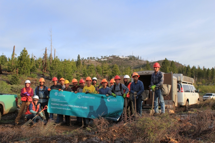 Planting its first 15000 trees
